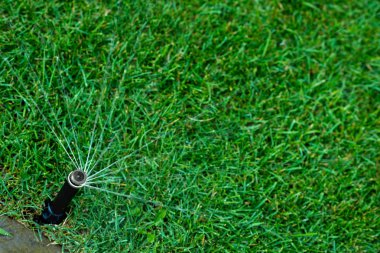 Otomatik sulama çimenler