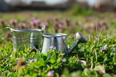 Bahçe aletleri, sulama olabilir ve yeşil bahçe adam çiçekler