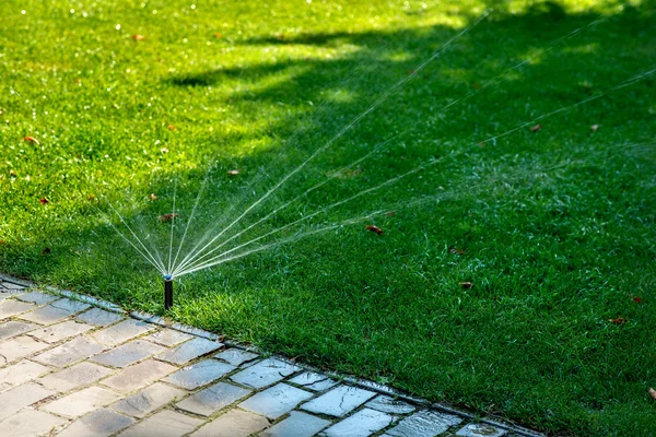 Automatic watering lawns — Stock Photo, Image