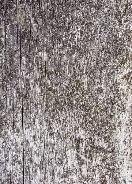 Pannelli di legno vecchio texture, Astratto, sfondo della parete — Foto Stock