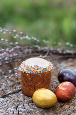 Willow dallar ile ahşap arka plan üzerinde Paskalya yumurta. Bahar denizler