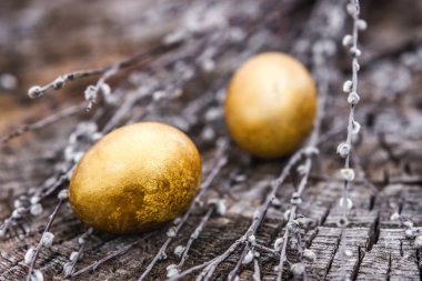 Willow twigs ahşap zemin üzerine altın Paskalya yumurta. Düz