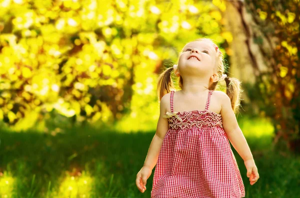 Усміхнена маленька дівчинка на лузі в парку . — стокове фото