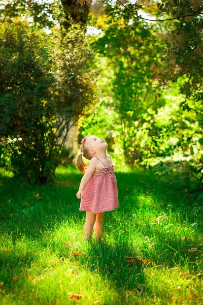 Parkta bir çayırda gülümseyen küçük kız. — Stok fotoğraf