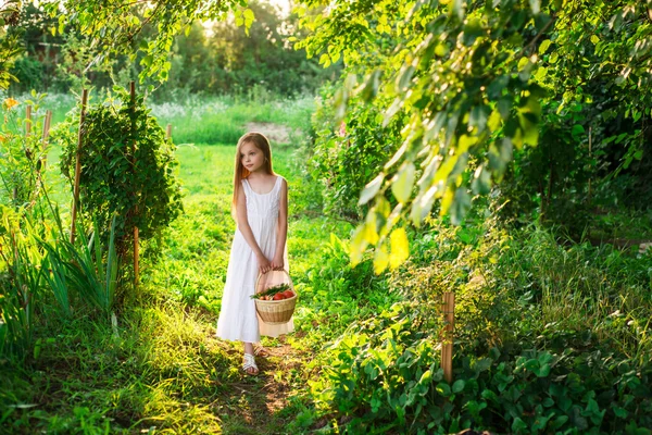 Drăguț zâmbitor fetiță deține coș cu fructe și legume — Fotografie, imagine de stoc