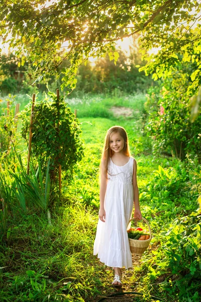 Cute smiling little girl holds basket  with fruit and vegetables — Stock Photo, Image