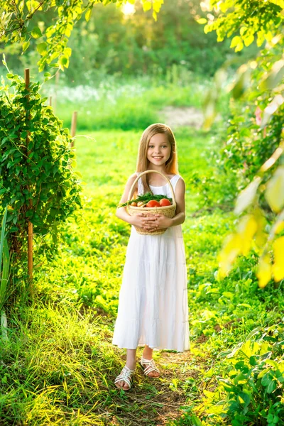 Bonito sorridente menina segura cesta com frutas e legumes — Fotografia de Stock