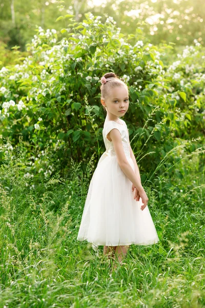 Beautiful little girl in a white dress posing in the grass — Stock Photo, Image