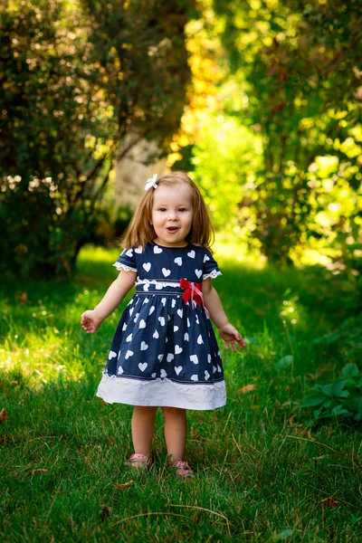 Petite fille souriante dans une prairie dans le parc . — Photo