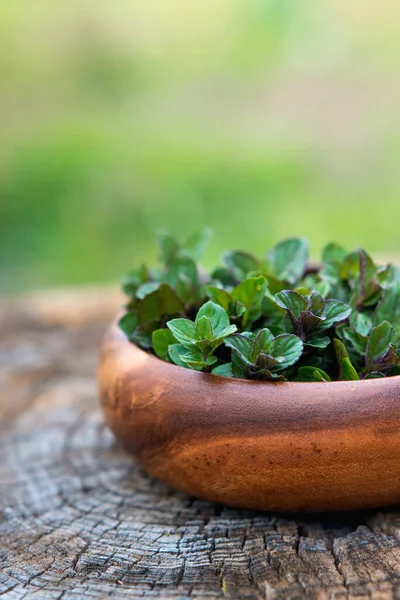 Menta Una Pequeña Canasta Sobre Fondo Madera Natural Menta Enfoque —  Fotos de Stock