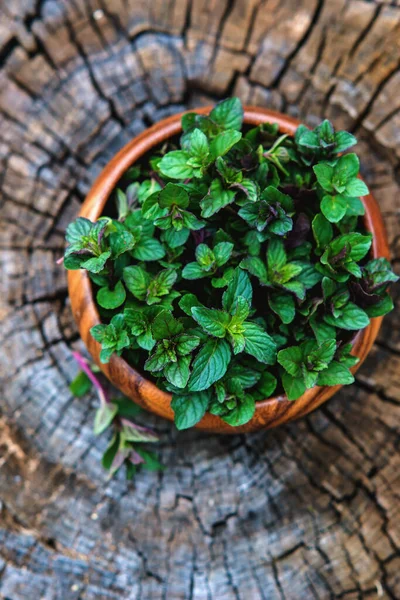 Mint Small Basket Natural Wooden Background Peppermint Selective Focus Close — Stock Photo, Image