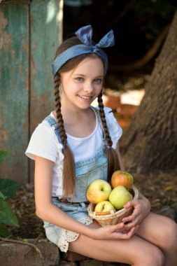 Şirin gülümseyen küçük kız çiftlikte elma sepeti tutuyor. Dışarıdaki sevimli küçük çocuğun portresi. Hasat et.