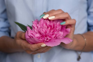 Güzel manikür ve ojeli kadın elleri çiğ taneli şakayık çiçeğini tutar. Manikür ve pedikür hizmeti ve prosedür kavramı.