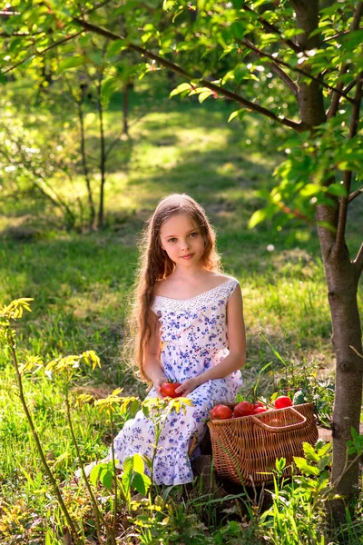 Nettes Lächelndes Kleines Mädchen Hält Korb Mit Tomaten Und Gurken — Stockfoto