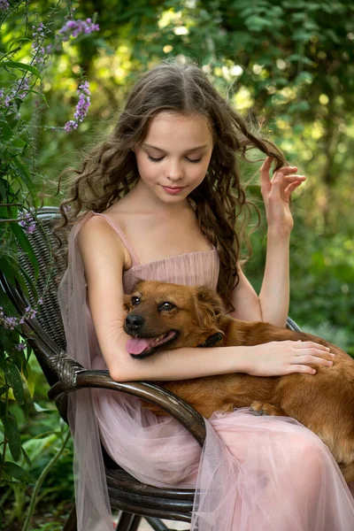 Beautiful Little Girl Plays Dog Garden Child Pets — Stock Photo, Image