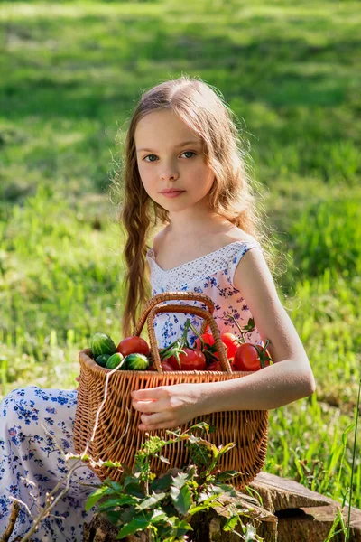 Carino Sorridente Bambina Tiene Cesto Con Pomodori Cetrioli Presso Fattoria — Foto Stock