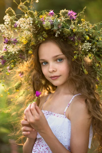 Menina Sorridente Bonito Com Coroa Flores Prado Fazenda Retrato Criança — Fotografia de Stock