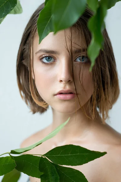 Красива Молода Жінка Чистою Ідеальною Шкірою Мокрим Волоссям Портрет Краси — стокове фото