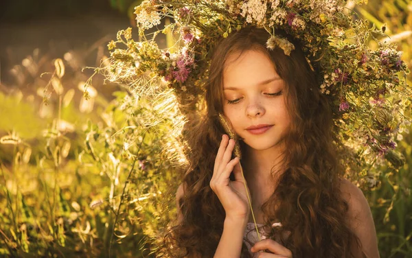 Menina Sorridente Bonito Com Coroa Flores Prado Fazenda Retrato Criança — Fotografia de Stock