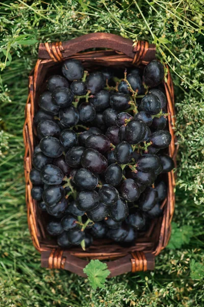 Bunches Grapes Basket Grass Natural Background Top View Flat Lay — Stock Photo, Image