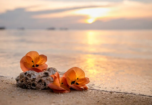 Flores Tropicais Alaranjadas Com Coral Areia Praia Fundo Das Ondas — Fotografia de Stock