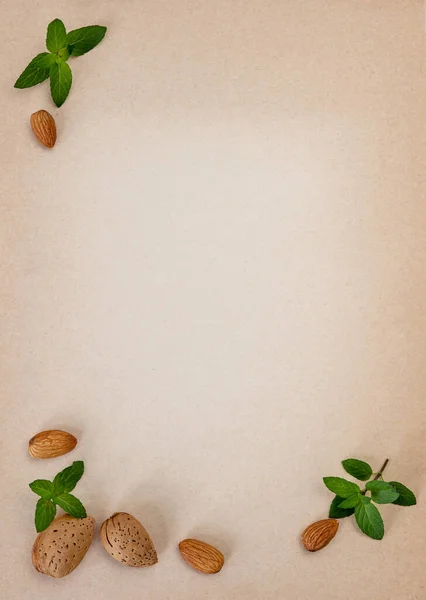 Amandes Feuilles Menthe Fraîche Sur Fond Vieux Papier Blanc Avec — Photo