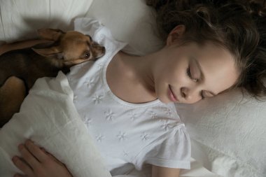 Küçük bir kız küçük köpeğiyle yatakta uyuyor. Çocuklar, rüyalar, sağlık hizmetleri. Evcil hayvanlar.