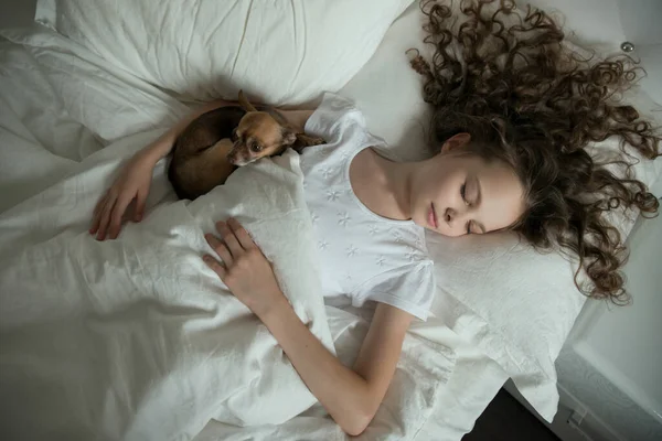 Una Niña Duerme Cama Con Perrito Niños Sueños Atención Médica —  Fotos de Stock