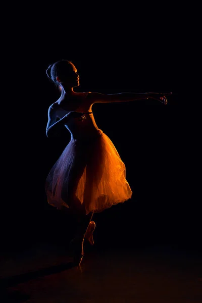 Giovane Ballerina Posa Studio Luce Mista Silhouette Piccola Ballerina Doppia — Foto Stock