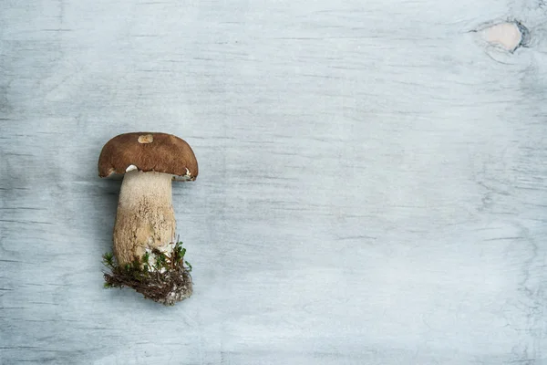 Wild mushroom on a wooden background, boletus — Stock Photo, Image
