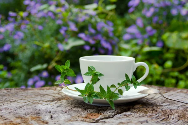 Taza de té con menta, primer plano, enfoque selectivo —  Fotos de Stock