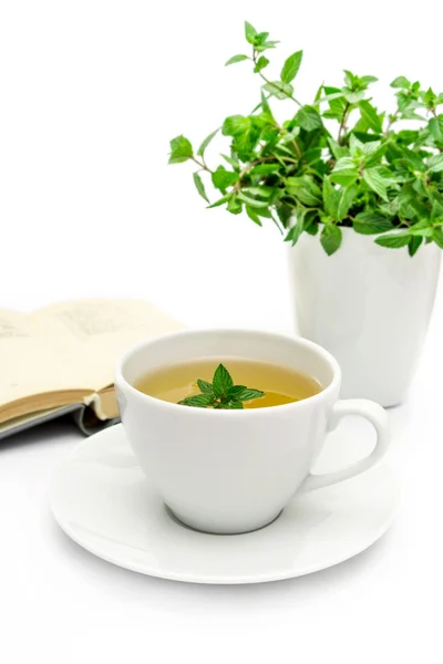 Tazza di tè verde con menta, primo piano, focus selettivo — Foto Stock