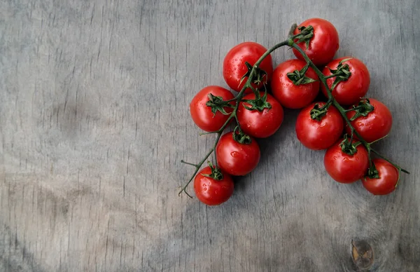 Galho de tomates cereja vermelhos frescos — Fotografia de Stock