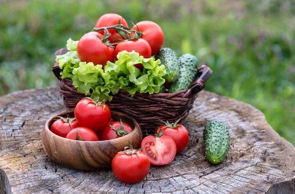 Panier et assiette en bois avec légumes frais — Photo