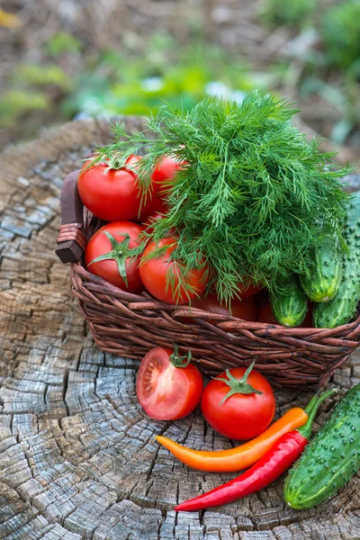 Basket and wooden plate with fresh vegetables — Stock Photo, Image