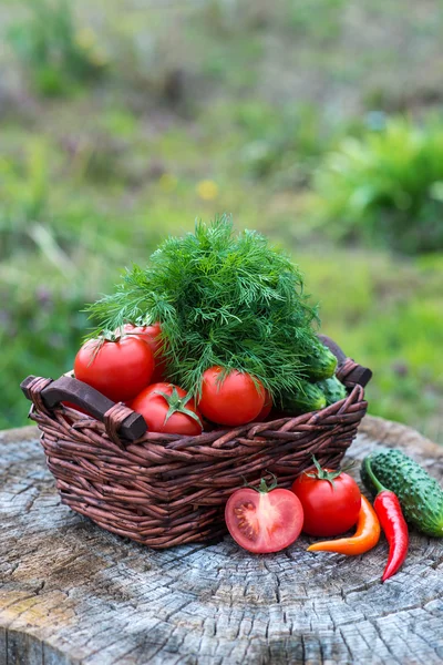 Basket and wooden plate with fresh vegetables — Stock Photo, Image