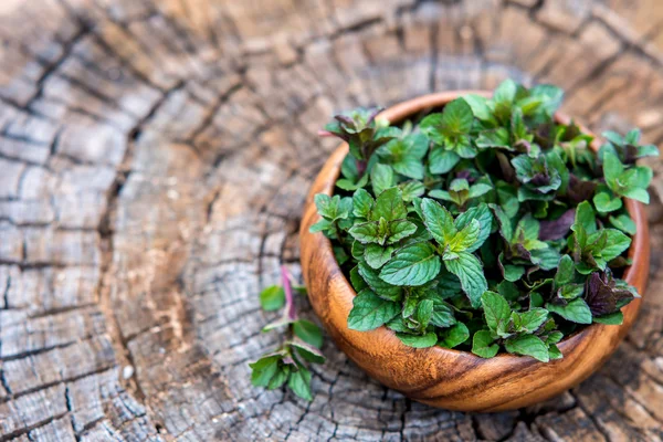 Mint  in small basket — Stock Photo, Image