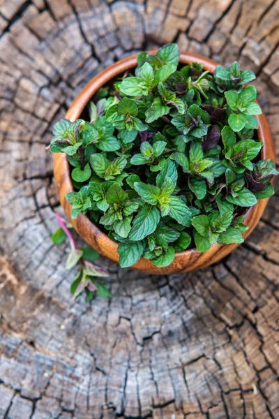 Mint  in small basket — Stock Photo, Image