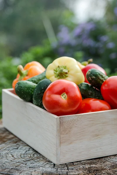 Wooden box with vegetables — Stock Photo, Image