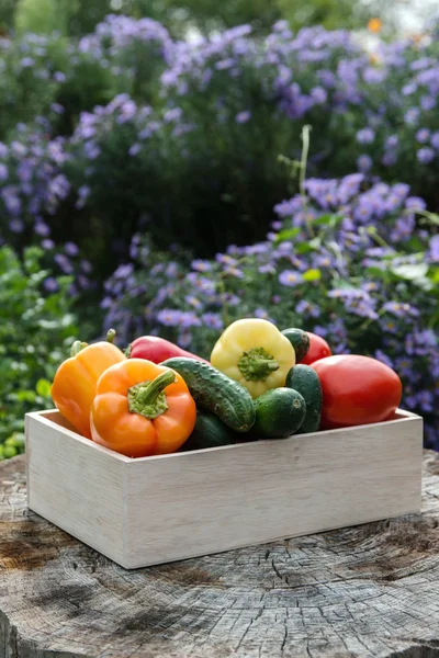 Wooden box with vegetables — Stock Photo, Image