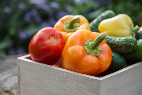 Wooden box with vegetables — Stock Photo, Image