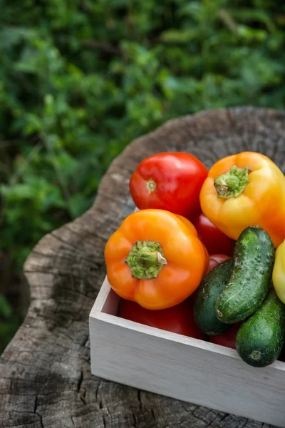 Wooden box with vegetables — Stock Photo, Image