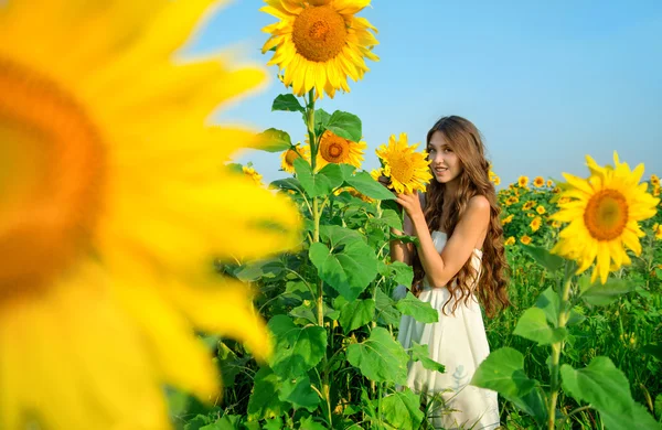 Giovane donna con girasoli Immagine Stock