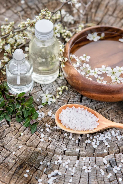 Spa and wellness setting with sea salt — Stock Photo, Image