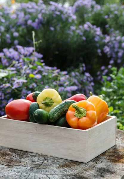 Wooden box with fresh vegetables — Stock Photo, Image