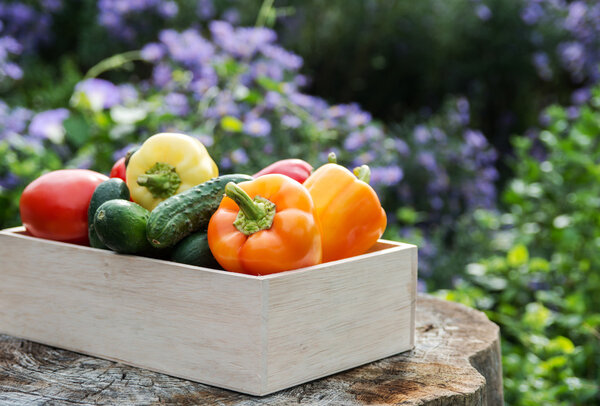 Wooden box with fresh vegetables