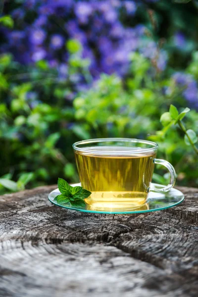 Cup of tea with mint, close-up — Stock Photo, Image