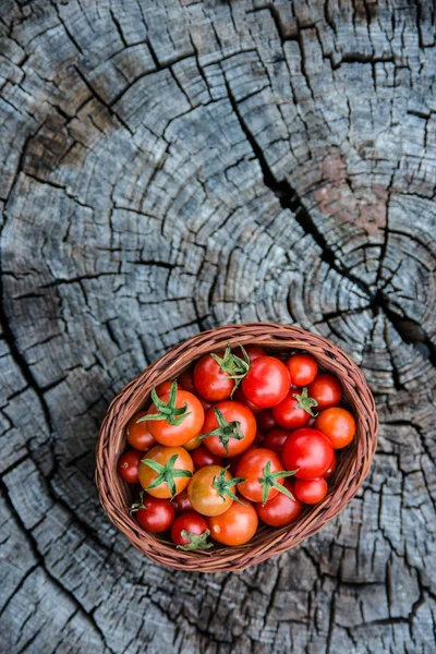 Tomates cereja em uma pequena cesta — Fotografia de Stock
