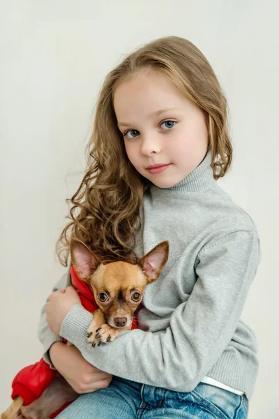 Blond kid girl with small pet dog — Stock Photo, Image