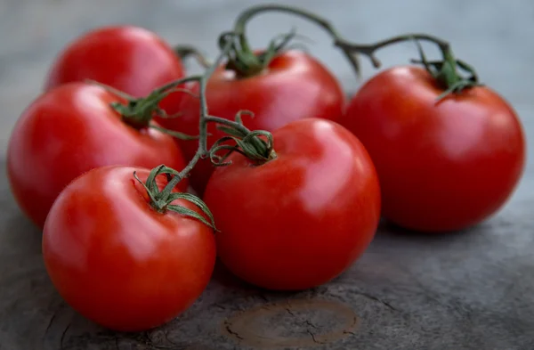 Fresh red delicious tomatoes — Stock Photo, Image